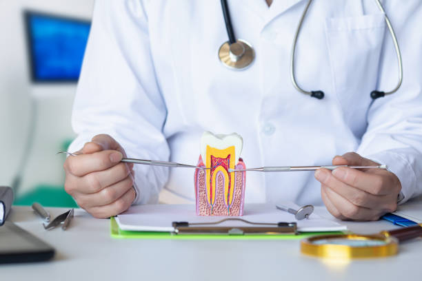 Best Emergency Care for Gum Disease in Camp Croft, SC